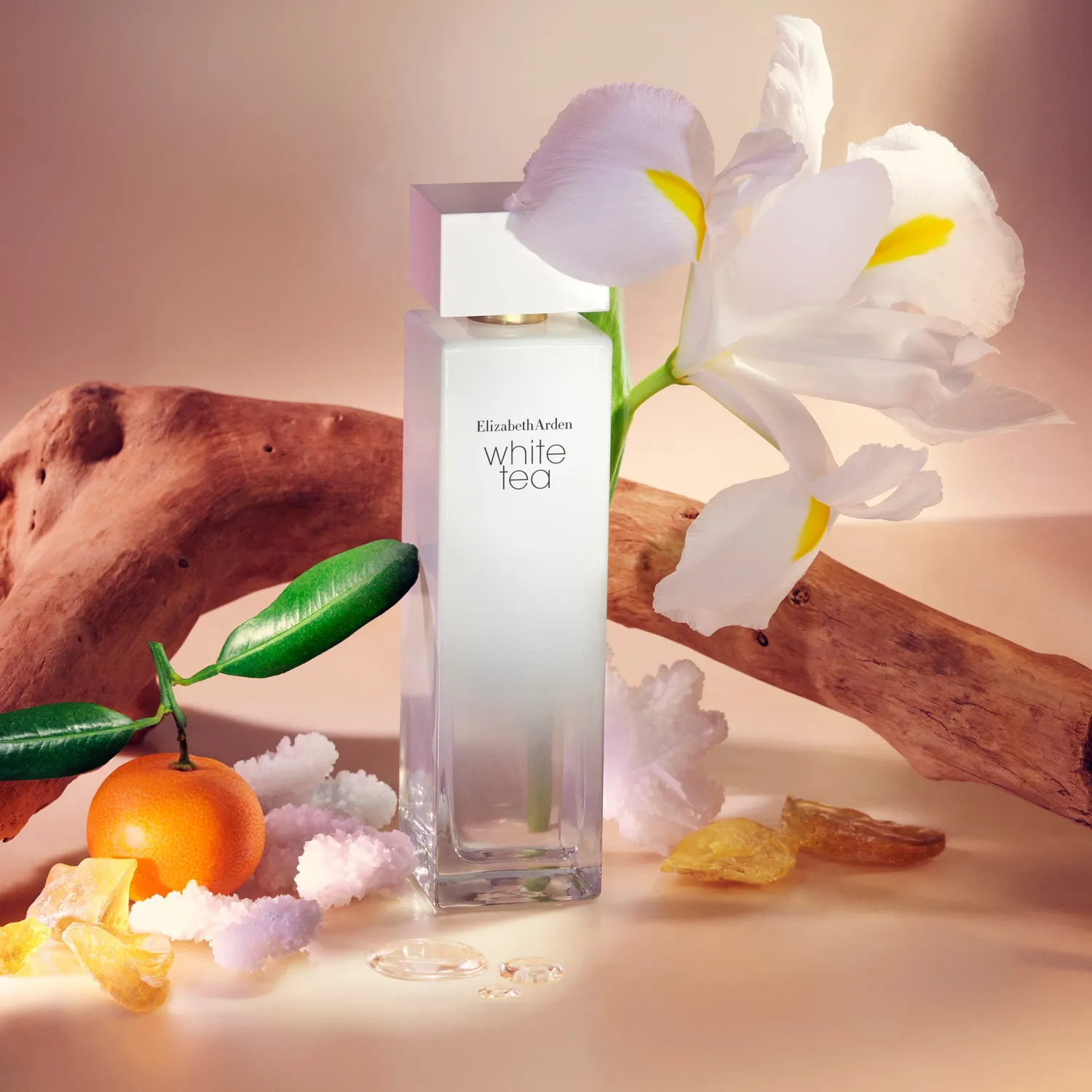 Elizabeth Arden White Tea Eau de Toilette 30ml frisch