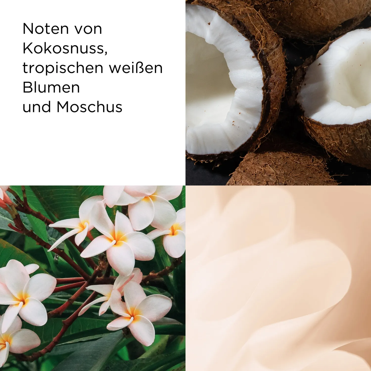 Elizabeth Arden Green Tea Coconut Körpercreme 500ml Honig
