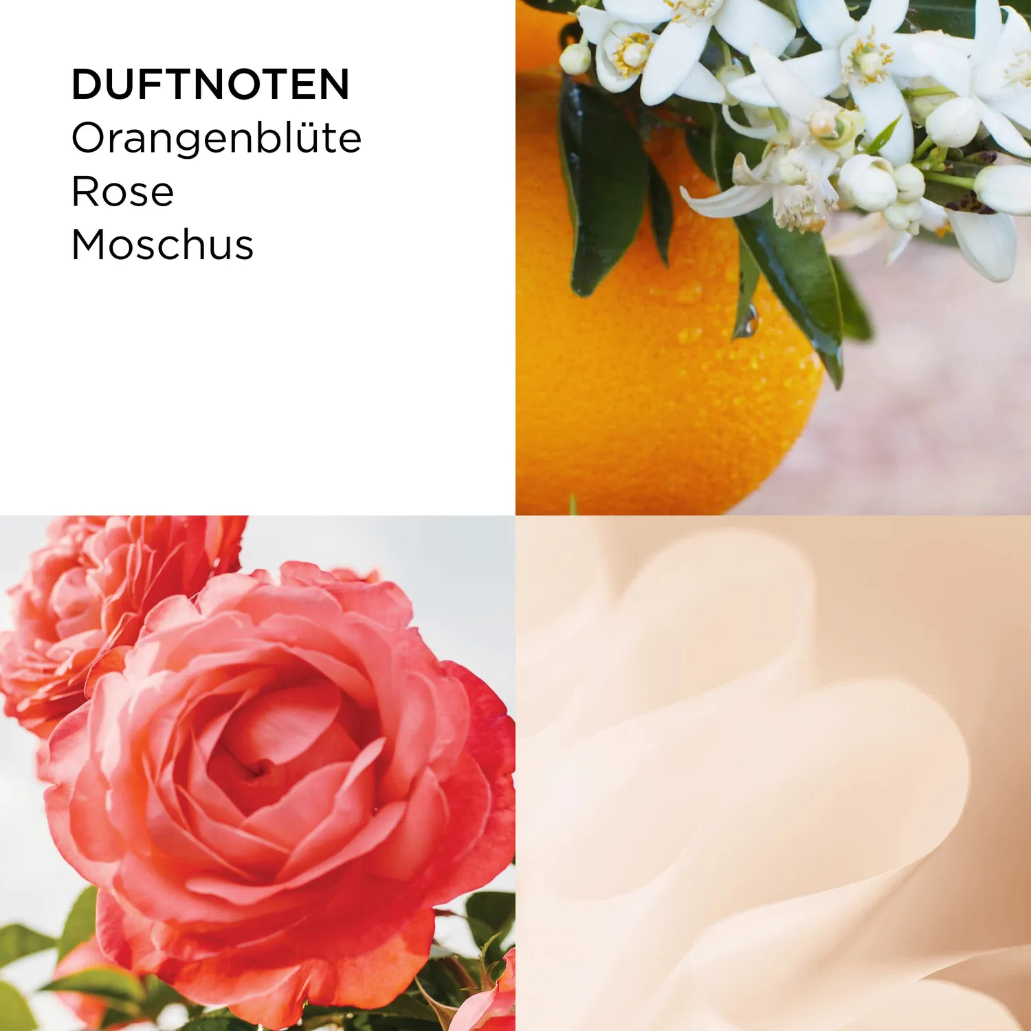 Elizabeth Arden Sunflowers Eau de Toilette 30ml sommerlich