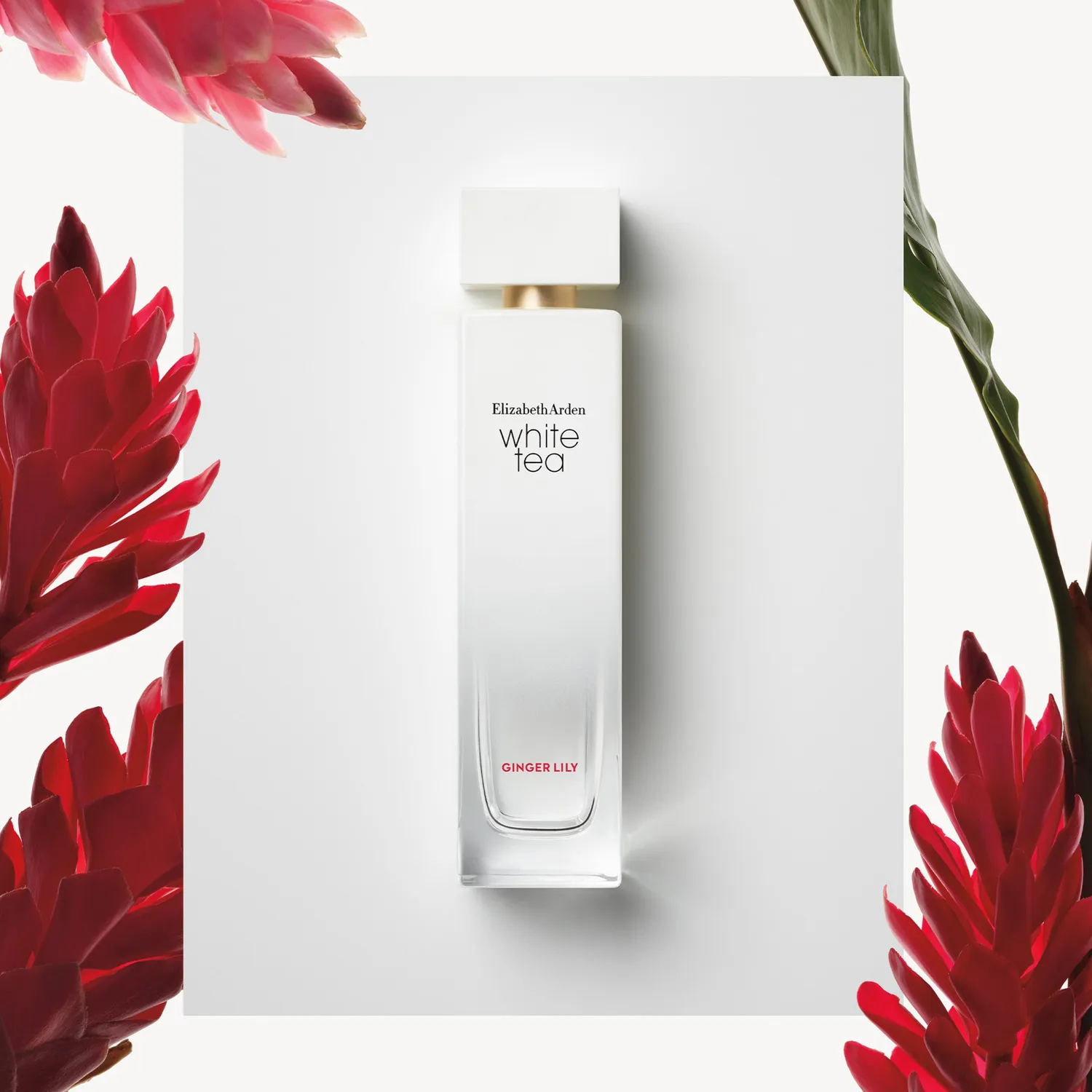 Elizabeth Arden White Tea Ginger Lily Eau de Toilette 30 ml