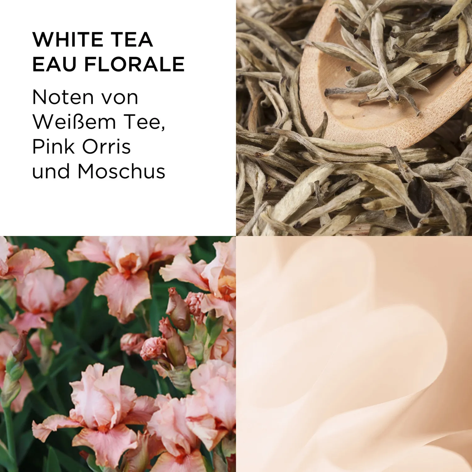 Elizabeth Arden White Tea Eau Florale Eau de Toilette 30ml zart