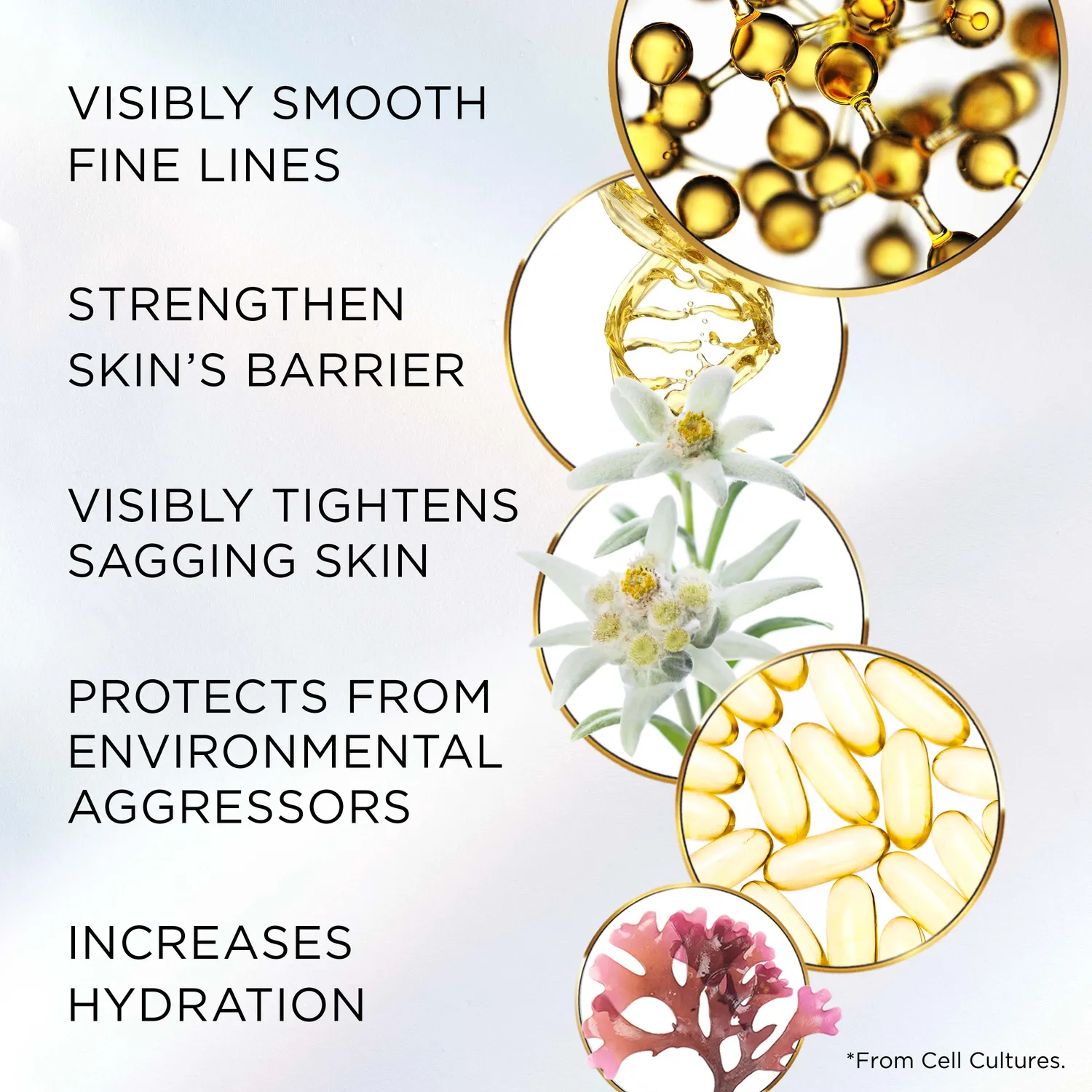 Elizabeth Arden Advanced Ceramide Lift and Firm Nachtcreme 50ml straffend