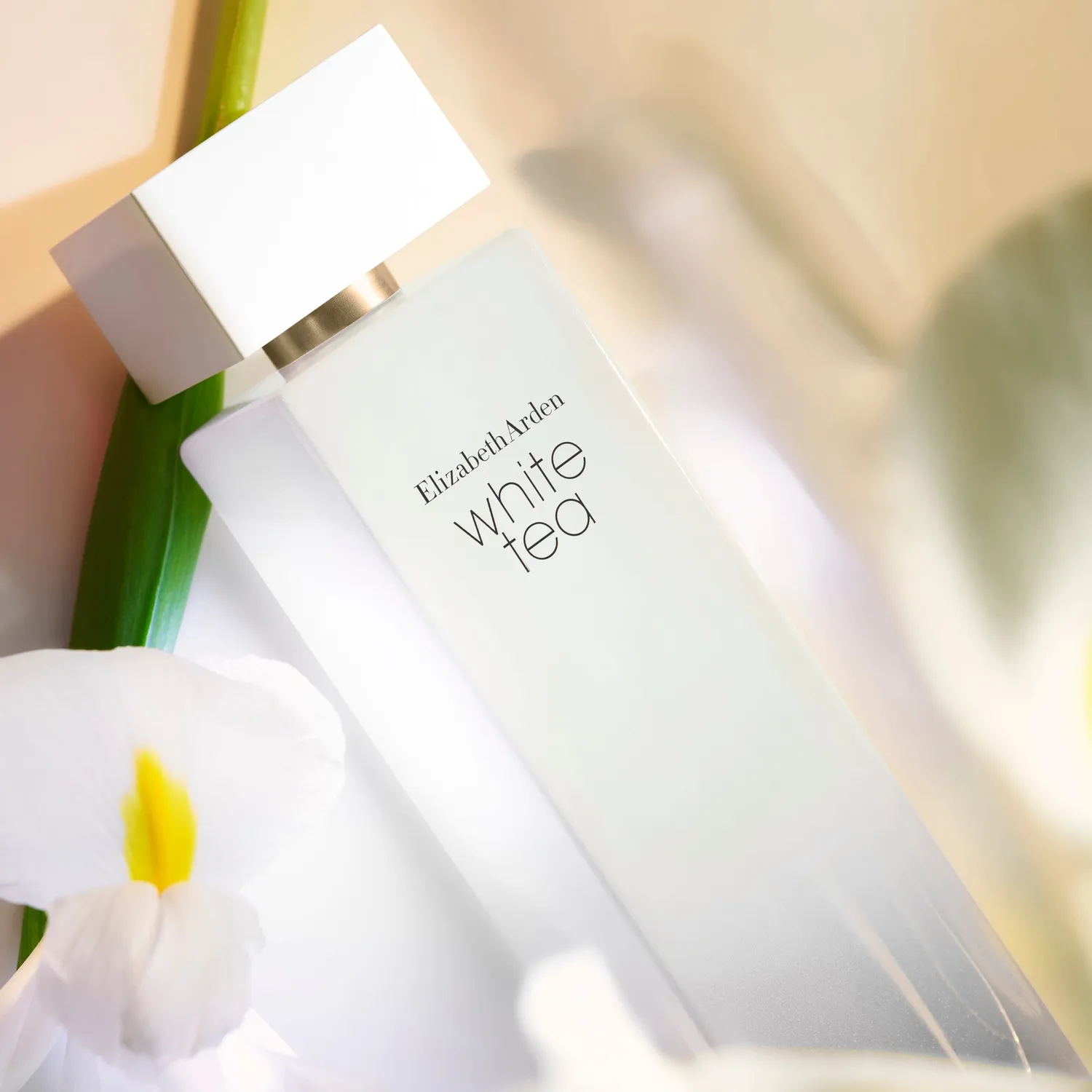Elizabeth Arden White Tea Eau de Toilette 30ml frisch